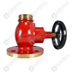Valves Straight Globe Norma Jis 10k and Din PN 16