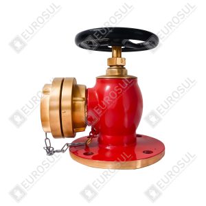 Globe valves with integrated adapter/connection