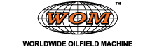 Logo Wom
