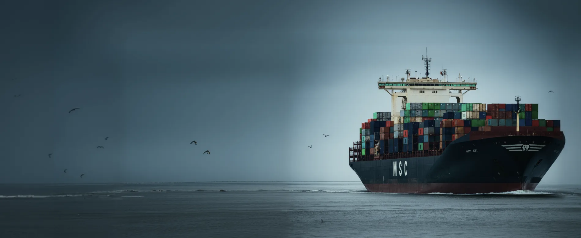 MOVING BRAZIL BY SEA